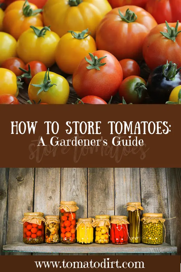 how-to-store-tomatoes