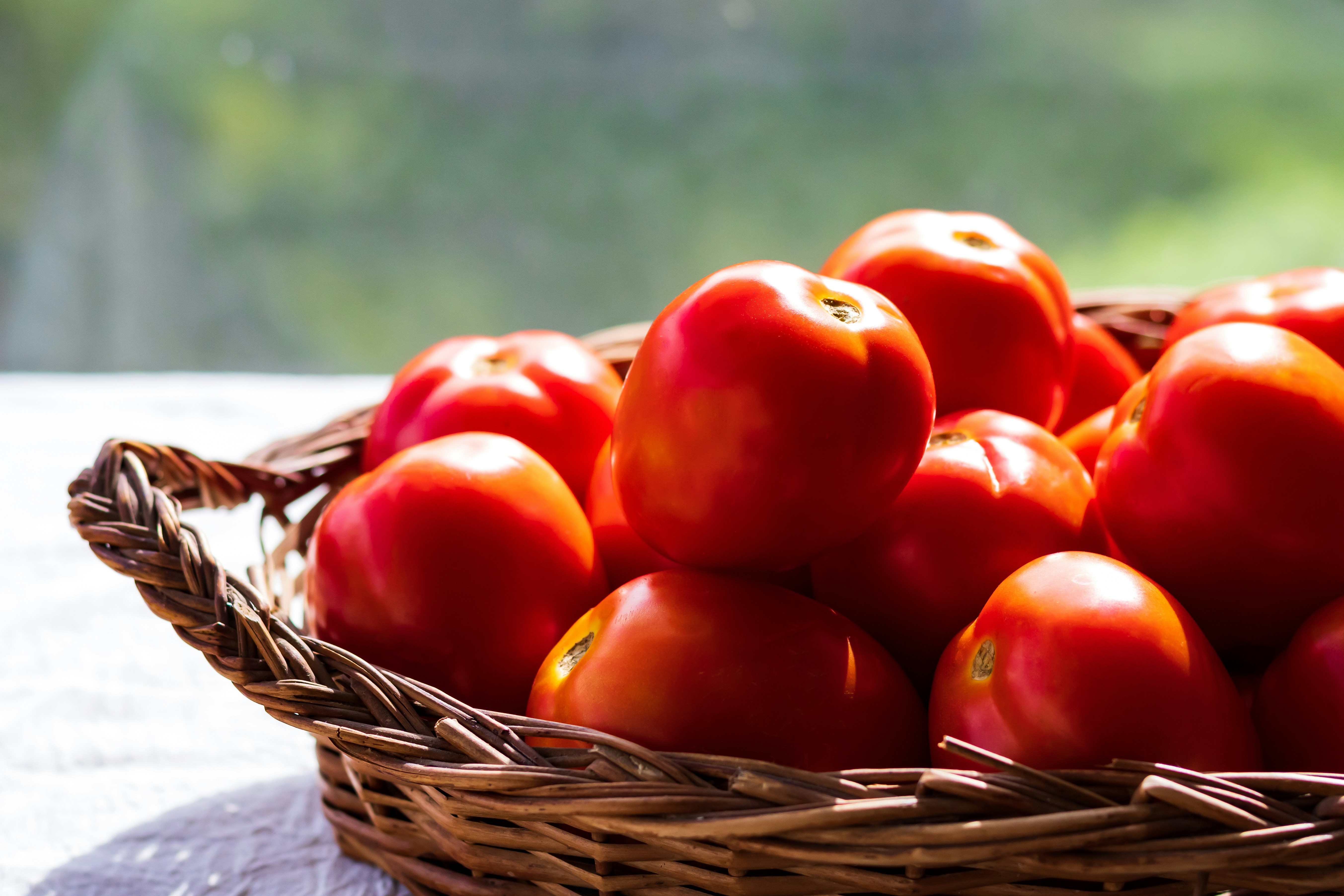 tomatoes-in-basket